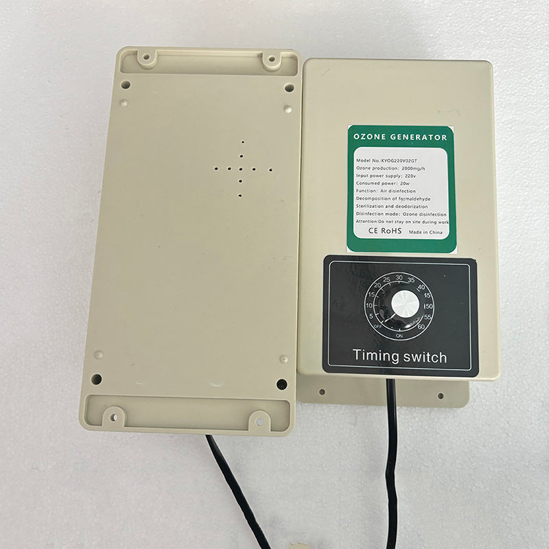 2000mg/h Ozone Generator Disinfection for Fruits Vegetables Meat Food With Timer