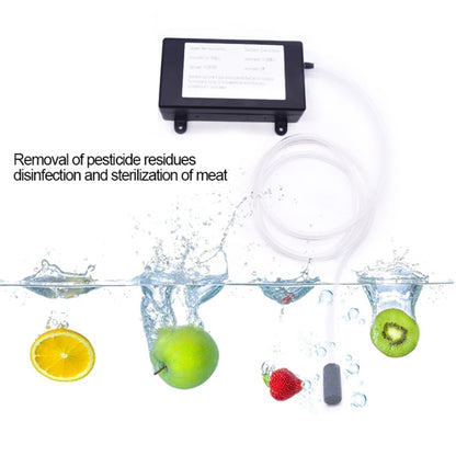 Aqueous immersion sanitization application photograph showing the KINYO-CHINA KYOG-1GT ozone generator bubbling active oxygen via silicone tubing and diffuser stone into a fresh water tank to decompose pesticide residues and eliminate bacteria from apples, oranges, kiwi, and strawberries.