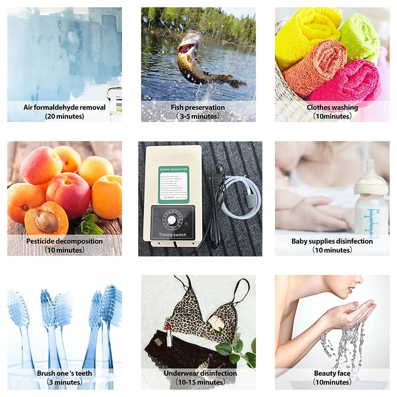 2000mg/h Ozone Generator Disinfection for Fruits Vegetables Meat Food With Timer