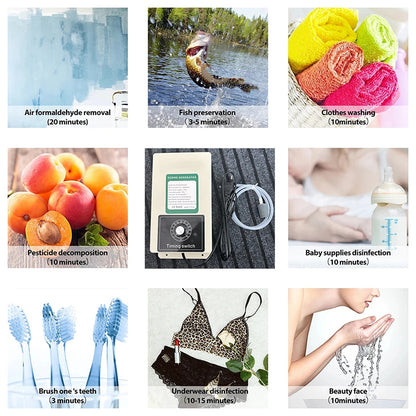 2000mg/h Ozone Generator Disinfection for Fruits Vegetables Meat Food With Timer
